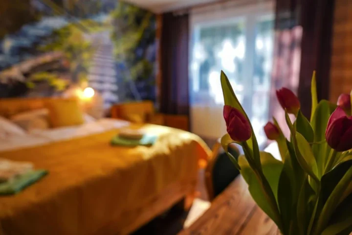 Pokój dwuosobowy Deluxe w Hotelu Raj